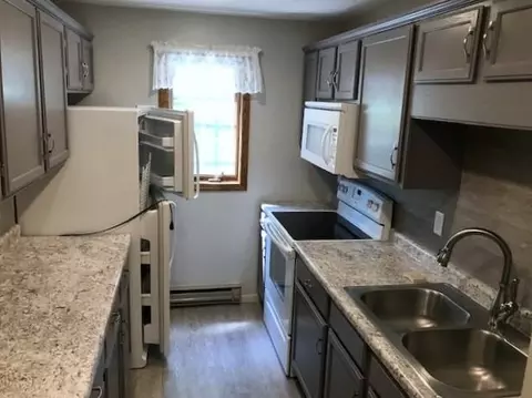 1007 W Depue Ave, Olivia, MN 56277