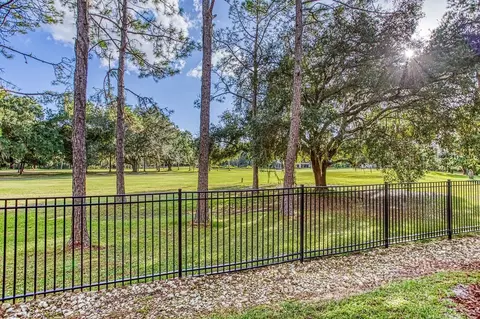 18940 Pebble Links Cir, Pebble Creek, FL 33647 photo 10