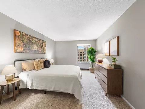 441 Erie St, Chicago, IL 60611 photo 33