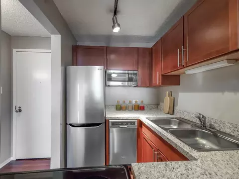 441 Erie St, Chicago, IL 60611 photo 51