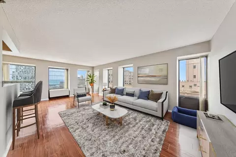 441 Erie St, Chicago, IL 60611 photo 37
