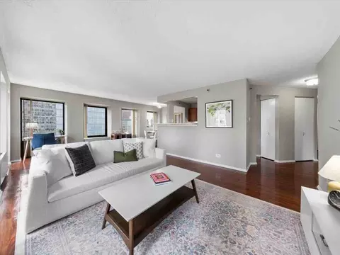 441 Erie St, Chicago, IL 60611 photo 26