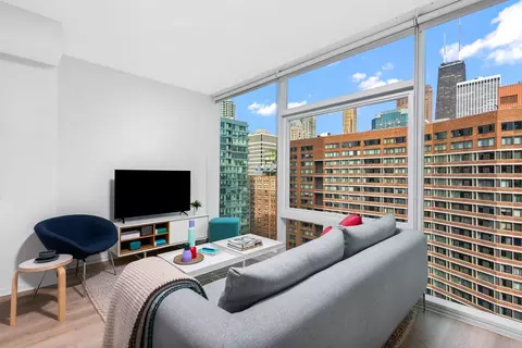 220 E Illinois St, Chicago, IL 60611 photo 5