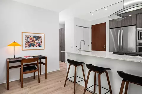 220 E Illinois St, Chicago, IL 60611 photo 6