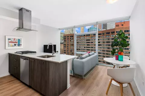 220 E Illinois St, Chicago, IL 60611 photo 3