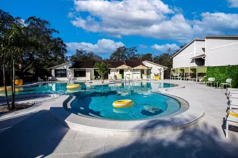 9101 Avenue Club Dr, Temple Terrace, FL 33637 photo 11