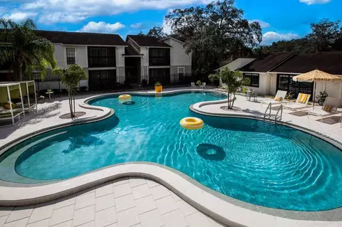 9101 Avenue Club Dr, Temple Terrace, FL 33637 photo 13