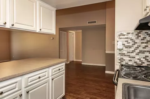 9101 Avenue Club Dr, Temple Terrace, FL 33637 photo 45