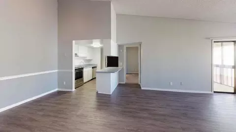 9101 Avenue Club Dr, Temple Terrace, FL 33637 photo 39