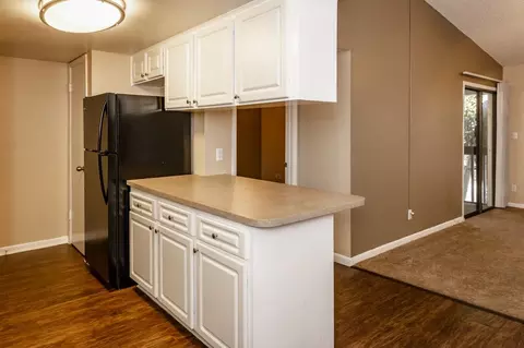 9101 Avenue Club Dr, Temple Terrace, FL 33637 photo 44