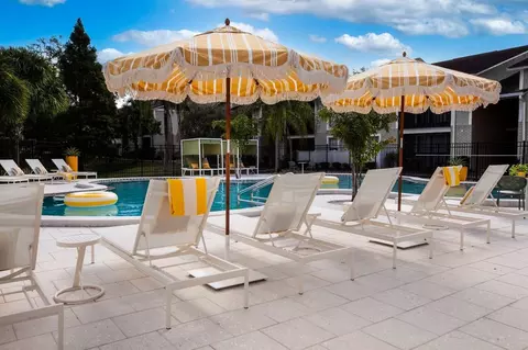9101 Avenue Club Dr, Temple Terrace, FL 33637 photo 16