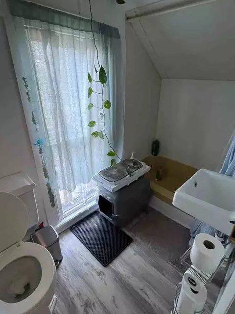 311 E Bishop St, Bellefonte, PA 16823