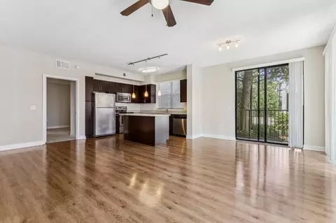 4504 W Spruce St, Tampa, FL 33607 photo 7