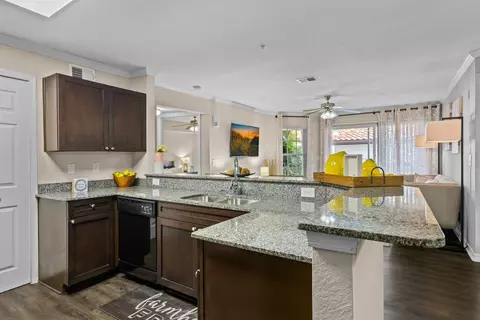 212 Katherine Blvd, Palm Harbor, FL 34684 photo 6