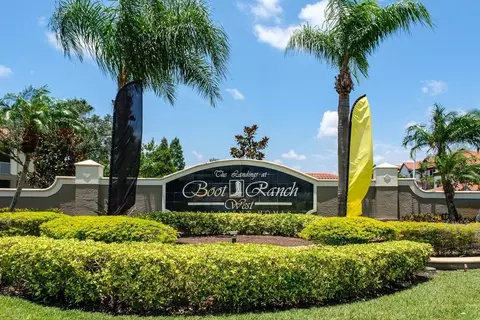 212 Katherine Blvd, Palm Harbor, FL 34684 photo 29
