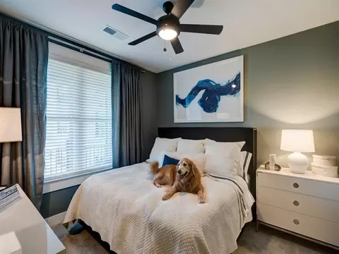 1351 E Morehead St, Charlotte, NC 28204 photo 5