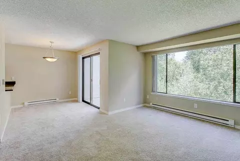 13808 NE 12th St, Bellevue, WA 98005 photo 16