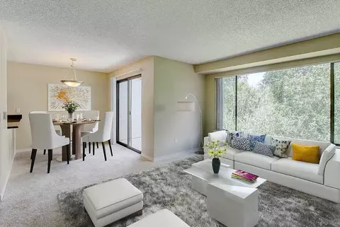 13808 NE 12th St, Bellevue, WA 98005 photo 10