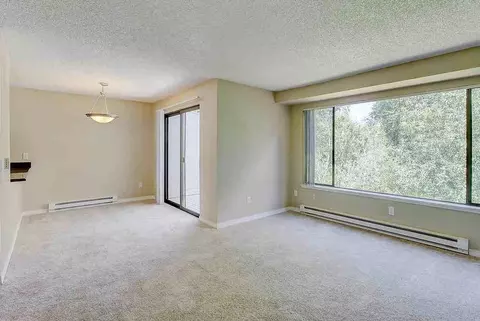 13808 NE 12th St, Bellevue, WA 98005 photo 16