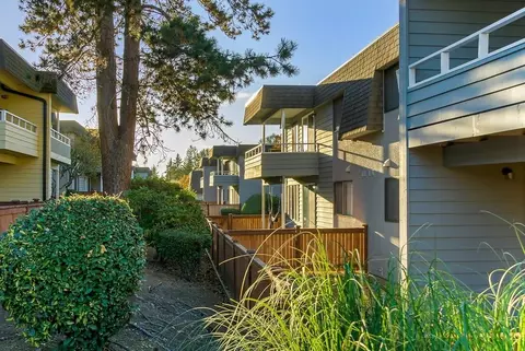 13808 NE 12th St, Bellevue, WA 98005 photo 22