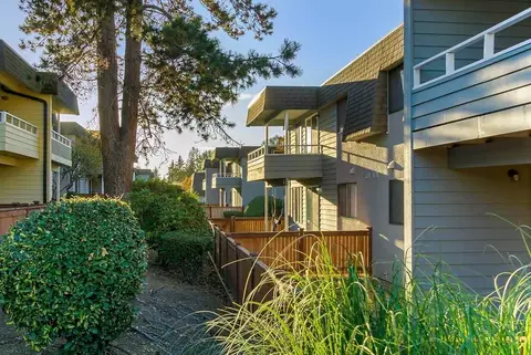 13808 NE 12th St, Bellevue, WA 98005 photo 22