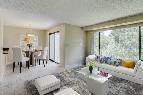 13808 NE 12th St, Bellevue, WA 98005 photo 10