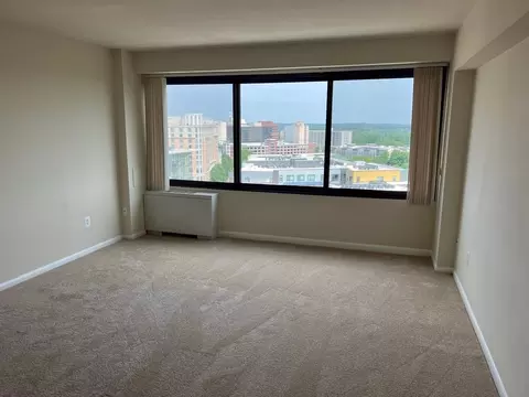 816 Easley St, Silver Spring, MD 20910 photo 32