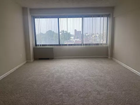 816 Easley St, Silver Spring, MD 20910 photo 27