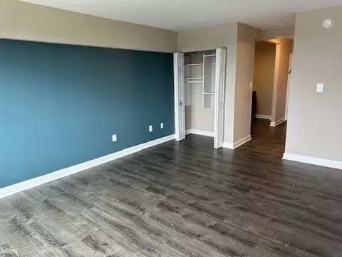 816 Easley St, Silver Spring, MD 20910 photo 39