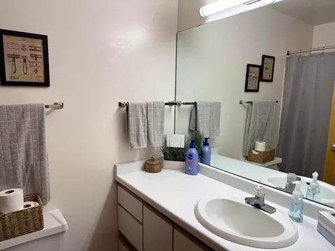 325 S Hamilton St, Madison, WI 53703 photo 37