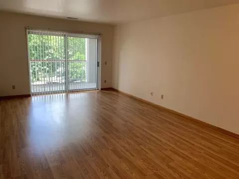 325 S Hamilton St, Madison, WI 53703 photo 23