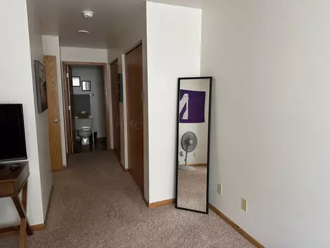 325 S Hamilton St, Madison, WI 53703 photo 39