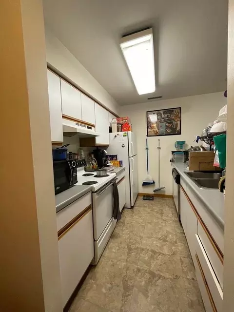 325 S Hamilton St, Madison, WI 53703 photo 46