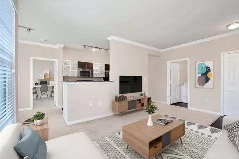 719 Fallsgrove Dr, Rockville, MD 20850 photo 3