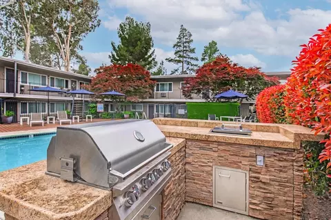 3366 Mt Diablo Blvd, Lafayette, CA 94549 photo 4
