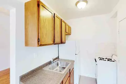 4721 S Ellis Ave, Chicago, IL 60615