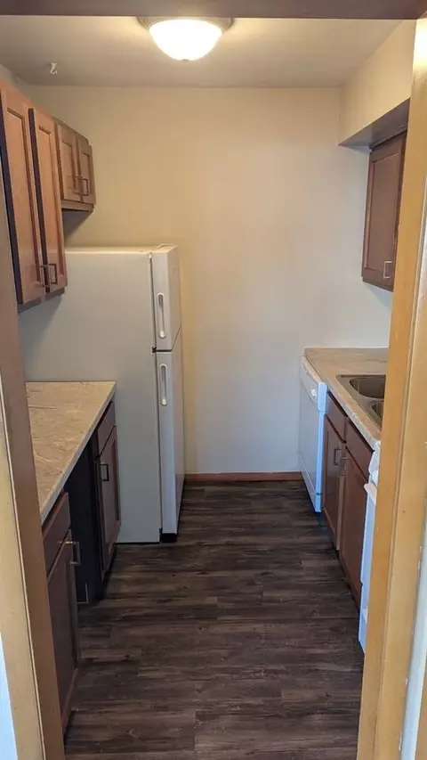 607 W Springfield Ave, Champaign, IL 61820 photo 5