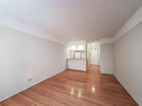 639 W Grace St, Chicago, IL 60613 photo 31