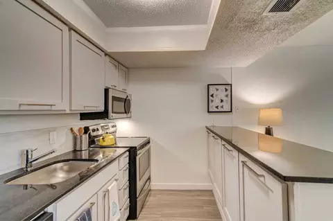 1221 Algarita Ave, Austin, TX 78704 photo 4