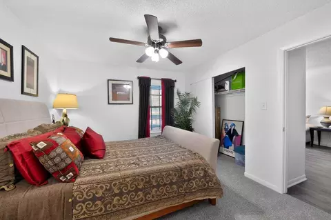 11325 N 50th St, Tampa, FL 33617 photo 128