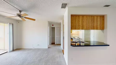 11325 N 50th St, Tampa, FL 33617 photo 98