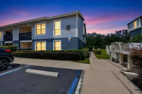11325 N 50th St, Tampa, FL 33617 photo 138