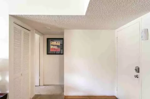 11325 N 50th St, Tampa, FL 33617 photo 26