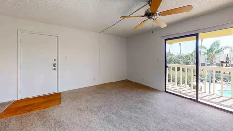 11325 N 50th St, Tampa, FL 33617 photo 106