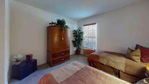 11325 N 50th St, Tampa, FL 33617 photo 74