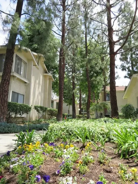 6152 Stanton Ave, Buena Park, CA 90621 photo 4