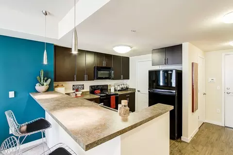 10688 NE 10th St, Bellevue, WA 98004 photo 12