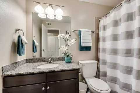 1020 Scotland Dr, Desoto, TX 75115 photo 14