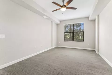 4504 W Spruce St, Tampa, FL 33607 photo 50