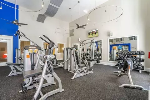 4504 W Spruce St, Tampa, FL 33607 photo 10